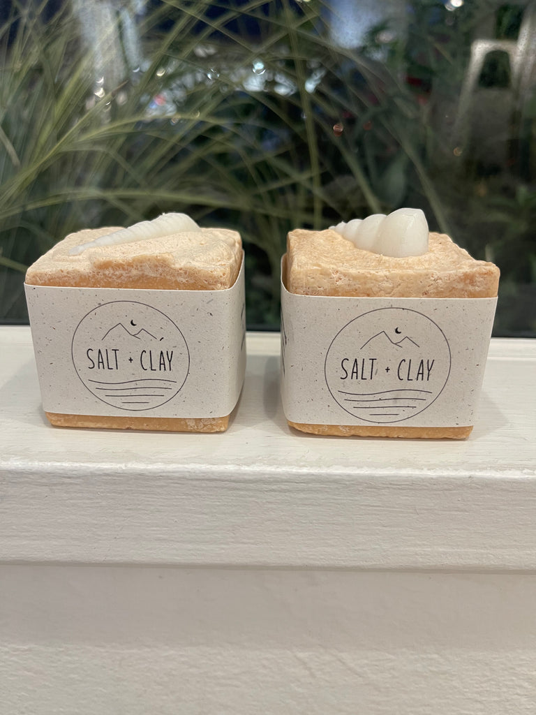 Citrus Sea Shell Salt Soap ~  With Sea Clay - Salt + Clay