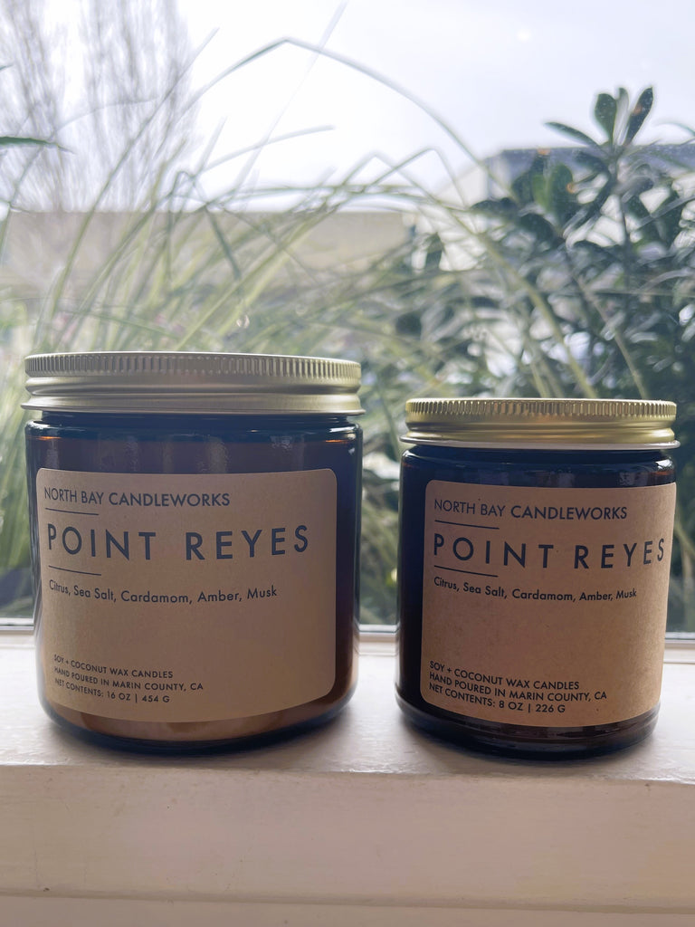 Soy + Coconut Wax Candle - POINT REYES